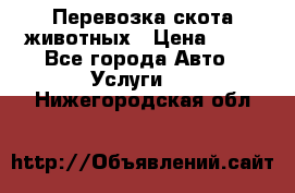 Перевозка скота животных › Цена ­ 39 - Все города Авто » Услуги   . Нижегородская обл.